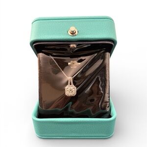 Moissanite Halo Pendant Necklace on 925 Sterling Silver Chain in Gift Box